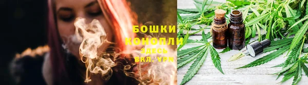 Альфа ПВП Гусев