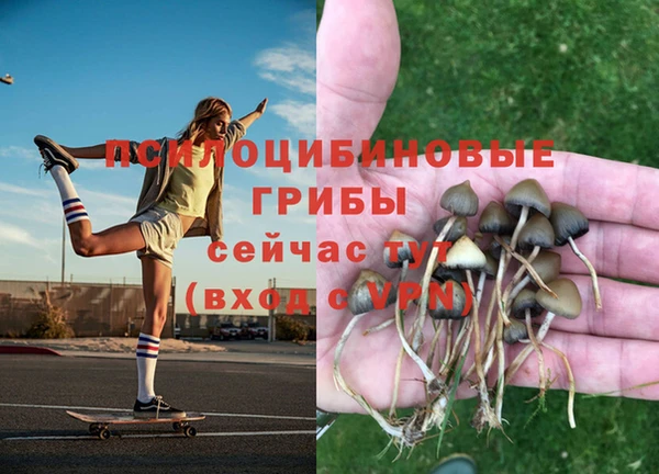Альфа ПВП Гусев