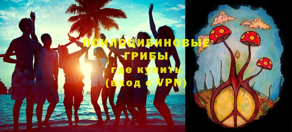МДПВ Гусиноозёрск