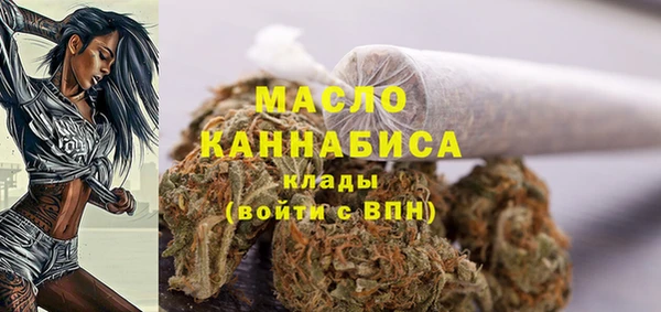 Альфа ПВП Гусев