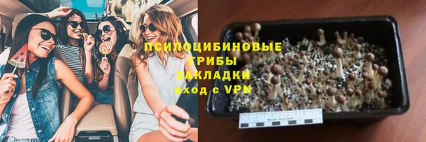 МДПВ Гусиноозёрск