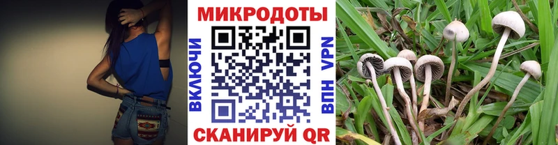 Псилоцибиновые грибы GOLDEN TEACHER  даркнет официальный сайт  Нальчик 
